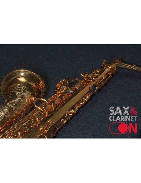 Saxofón Alto DAVE GUARDALA  0073XX
